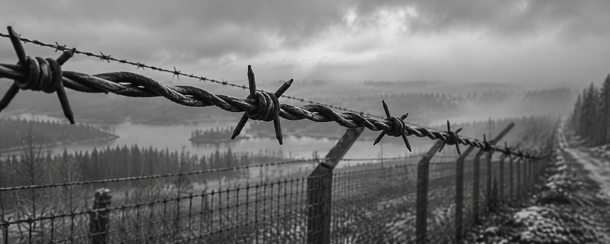 Black-and-white close-up of barbed wire along a border fence in mist
